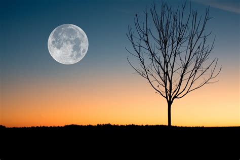 lune blanche