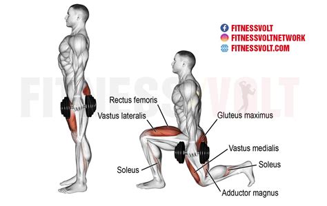 Lunges Muscles Worked