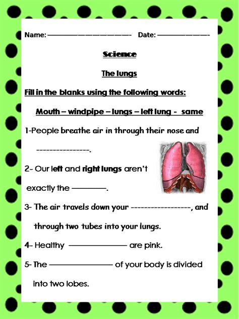 Lungs Of The Planet Worksheets K12 Workbook Lungs Of The Planet Worksheet - Lungs Of The Planet Worksheet