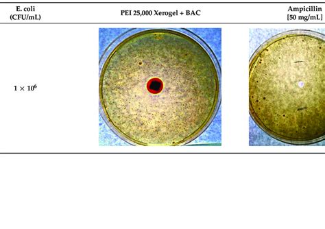 Luria Bertani Agar Composition
