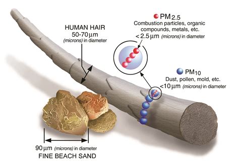 lyiL with this matter. - US EPA