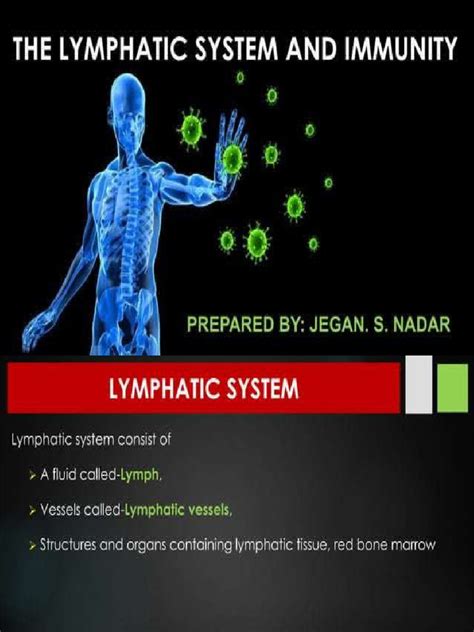 Lymphatic System And Immunity Mastery Test Answers
