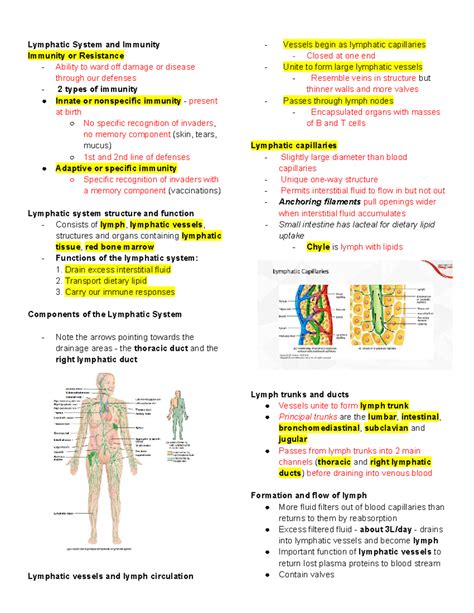 lymphatic system and immunity packet answers