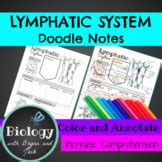 Lymphatic System Coloring Teaching Resources Teachers Pay Teachers Lymphatic System Coloring Page - Lymphatic System Coloring Page