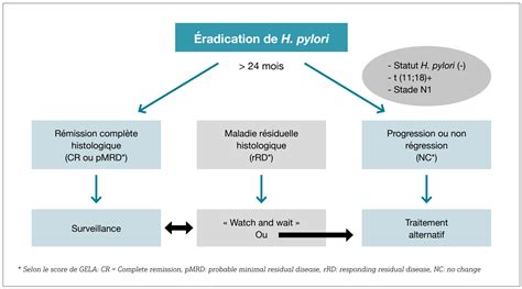 Lymphome Du Malt