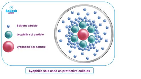 Lyophilic Colloids Example