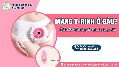 màng trinh | Mng trinh l g S tht th