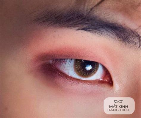 mắt tam giác | n ng c mt hnh tam gic