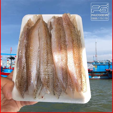 mối | Nhng iu cn bit v loi mi