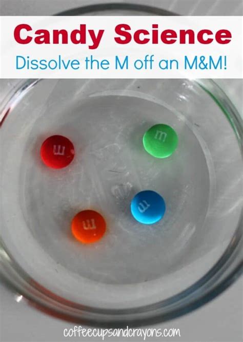 M Amp Ms Science Experiment Candies Rainbow Experiment M And M Science Experiment - M And M Science Experiment