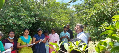 M Sc Horticulture Fruit Science Tamil Nadu Agricultural Fruit Science - Fruit Science