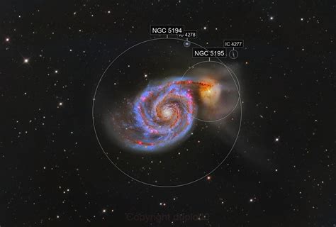 m51 | Mn hnh full nguyn b cng ty