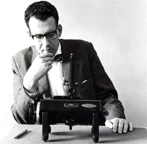 maarten schmidt biography template