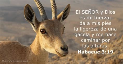 Macabeos 3 19