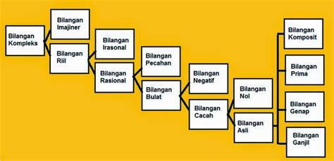 Macam Macam Bilangan Dan Contohnya