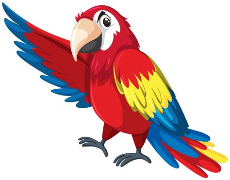 macaw clipart