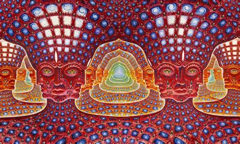 Machine Elves Dmt
