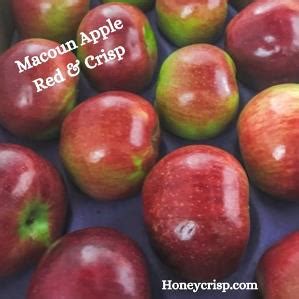 macoun | Macoun Profil Terlengkap 2024 Temukan Inspirasi di