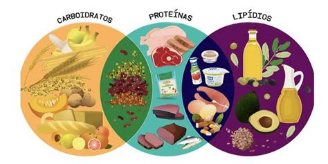 Macro E Micronutrientes