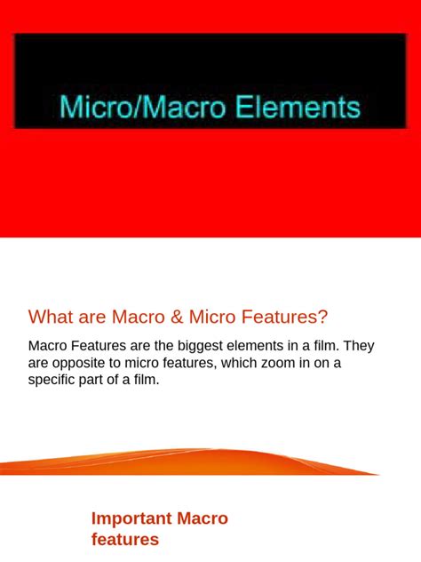 Macro Micro Download