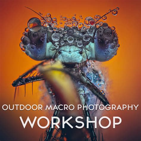 macro photography photo workshop