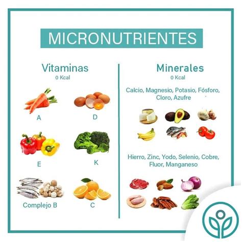 Macro Y Micronutrientes