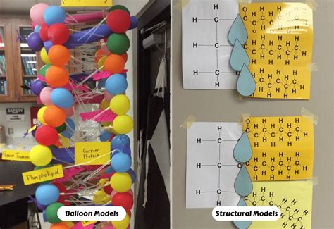 Macromolecules Activity