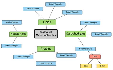 Macromolecules Concept Map