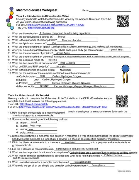 Macromolecules Webquest Answer Key