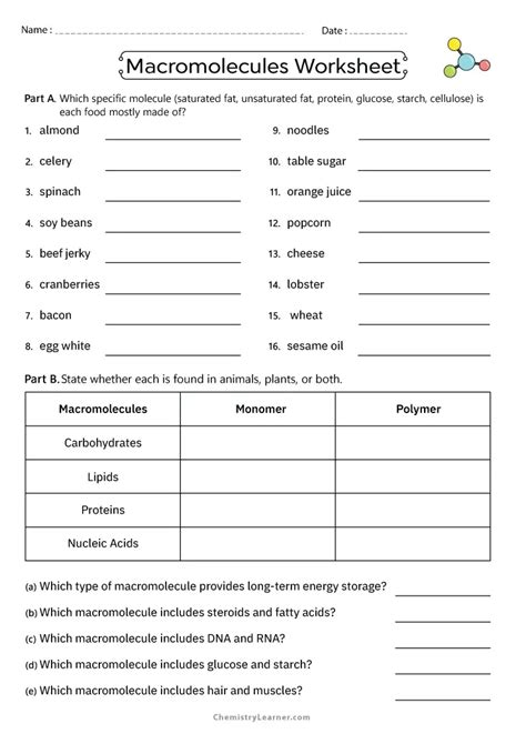 macromolecules worksheet 2 wikispaces