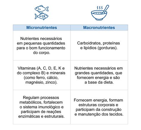 Macronutrientes E Micronutrientes