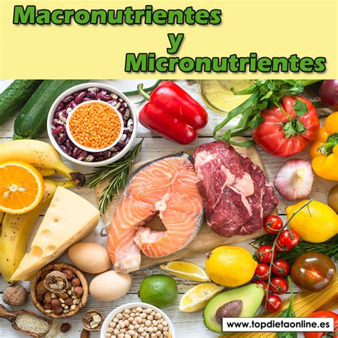 Macronutrientes Y Micronutrientes