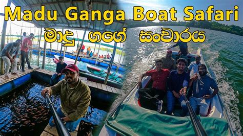 Madu Ganga Boat Safari Balapitiya Facebook Madu Gaga - Madu Gaga