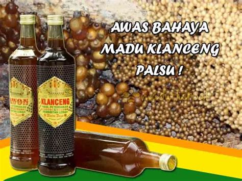 Madu Klanceng Manfaat Aturan Minum Dan Harga Di Madu Klanceng Jakarta Selatan - Madu Klanceng Jakarta Selatan