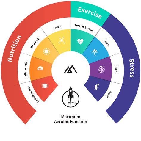 Maffetone Method