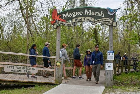 magee marsh ohio