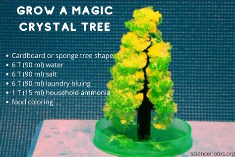 Magic Crystal Tree Experiment Science Notes And Projects Science Experiments Growing Crystals - Science Experiments Growing Crystals
