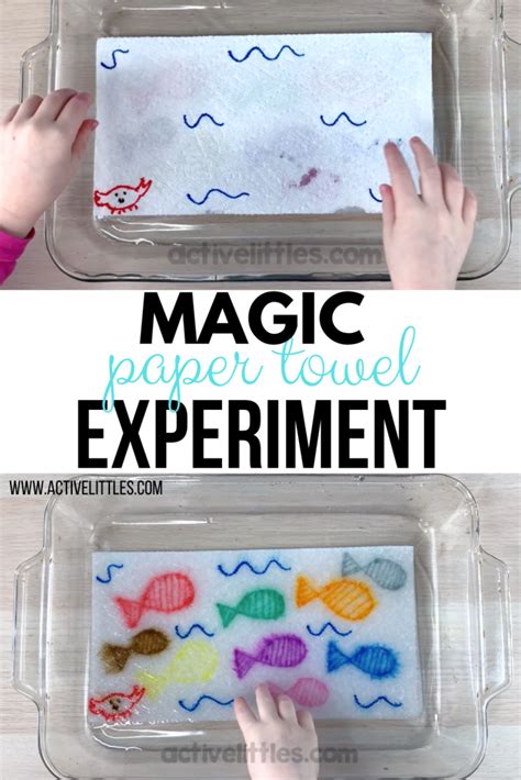 Magic Paper Towel Experiment Active Littles Paper Towel Science Experiment - Paper Towel Science Experiment