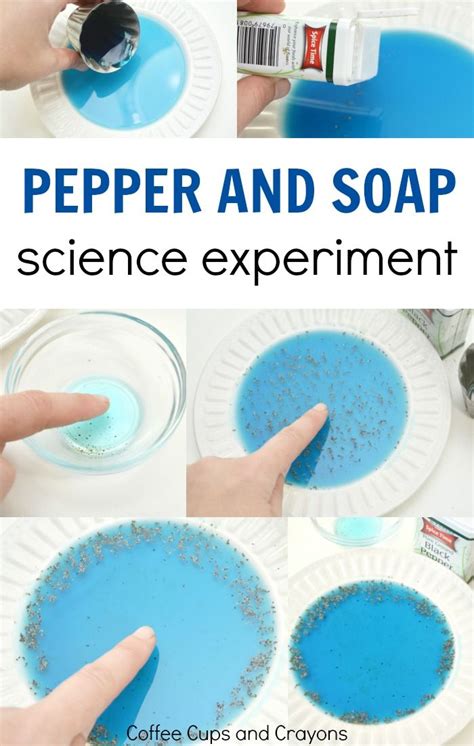 Magic Pepper And Soap Experiment Coffee Cups And Pepper And Soap Science Experiment - Pepper And Soap Science Experiment