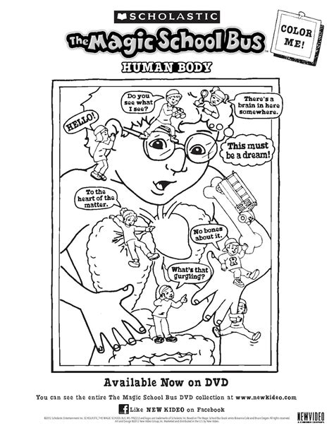 Magic School Bus Video Worksheets For Every Episode School Bus Worksheet - School Bus Worksheet