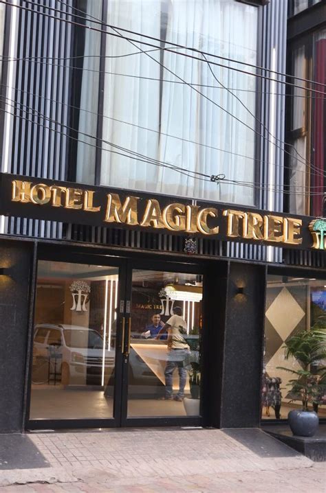 magic tree casino xncq