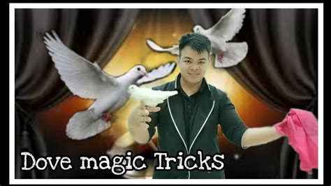 magic tricks dove revealed