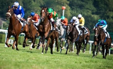 Magic Turf Vip