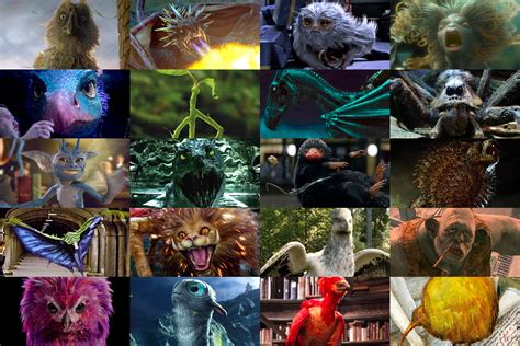 Magical Beasts And