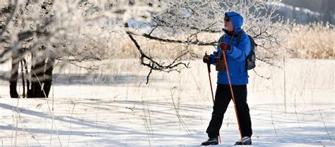 magister arbetsterapi