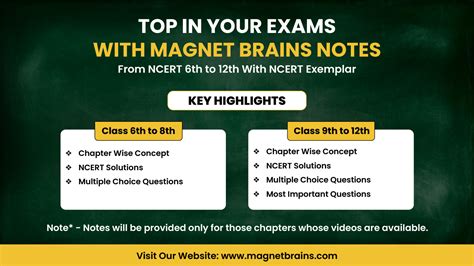 Magnet Brains Notes