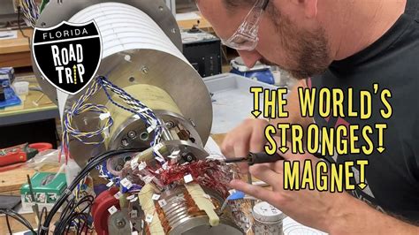 magnet lab florida