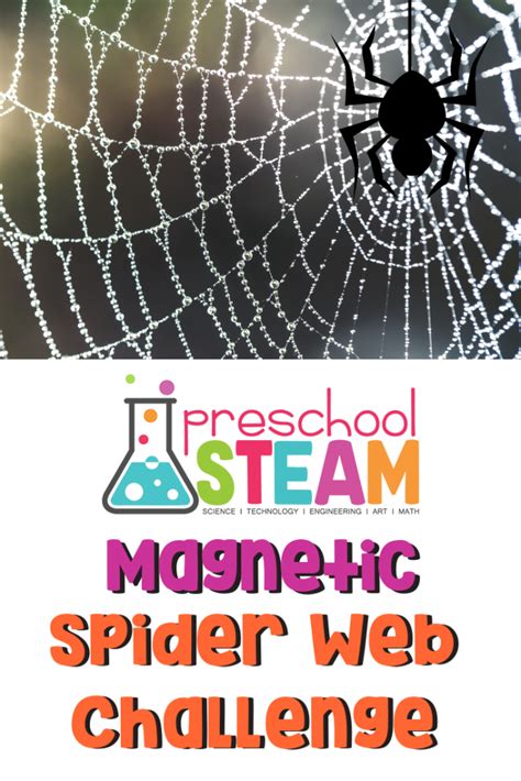 Magnetic Spider Steam Challenge Spider Science Activities For Preschoolers - Spider Science Activities For Preschoolers