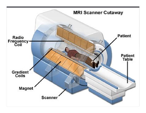 Full Download Magnetic Resonance Imaging The Basics 