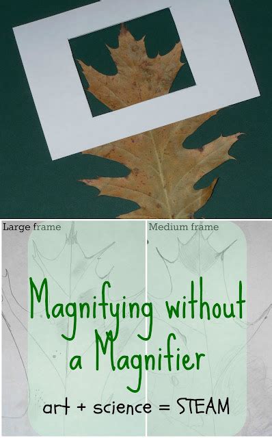 Magnify Without A Magnifier A Science Art Project Science Magnifier - Science Magnifier